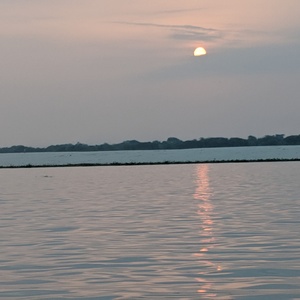 IMG_20190717_054337.jpg